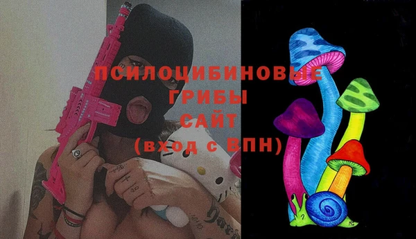 ПСИЛОЦИБИНОВЫЕ ГРИБЫ Абдулино